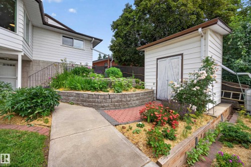 Outdoor landscaping featuring a concrete pathway, a red brick paver section, and two stone-retained garden beds - 3411 103 Avenue, Edmonton, AB 