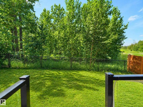 Expansive grassy yard area with a chain-link fence, mature trees, and a partial wooden privacy fence - 320 38 Street, Edmonton, AB 