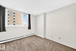 Bright room featuring a large window, textured carpeting, and neutral wall tones - 