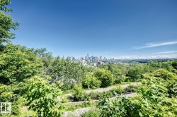 City skyline visible over a tree-lined landscape with a clear blue sky - 