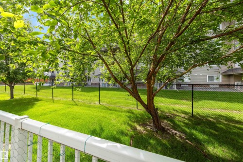 Vibrant green lawn bordered by a chain-link fence, with mature trees providing natural shading - #28 290 Spruce Ridge Rd, Spruce Grove, AB - Outdoor