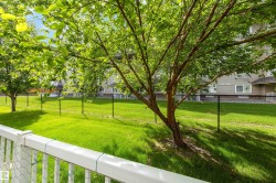 Vibrant green lawn bordered by a chain-link fence, with mature trees providing natural shading - 