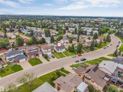 Expansive aerial perspective showcasing a residential neighborhood with mature trees and well-maintained properties - 