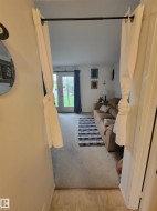 Living area featuring light-toned carpeting and a full-light rear door with window treatments - 