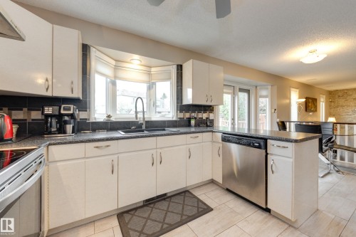 4335 47 Street, Edmonton, AB - Indoor Photo Showing Kitchen With Double Sink