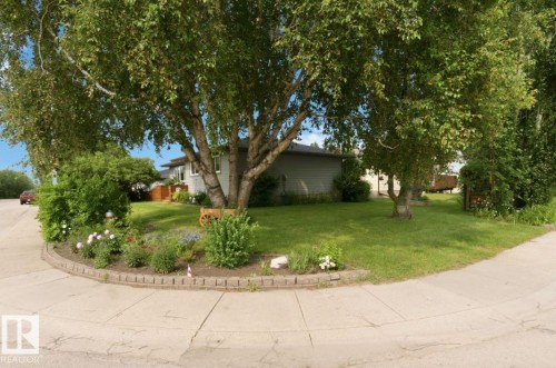 Expansive front yard featuring mature deciduous trees and a manicured lawn - 4007 45 Street, Stony Plain, AB 