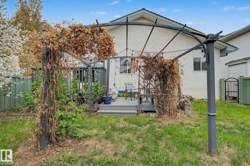 Backyard featuring a multi-level deck, a metal pergola with string lighting, and established greenery - 1619 Welbourn Cove, Edmonton, AB 