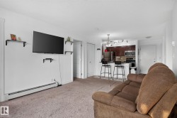 Open-concept living area with neutral carpeting and white walls - 