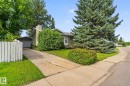 Light green siding exterior with a prominent evergreen tree and mature shrubs - 4712 131 Avenue Nw, Edmonton, AB 