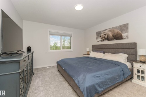 Light gray wall tones with a window featuring white trim - 102 Horton Way, Ardrossan, AB 