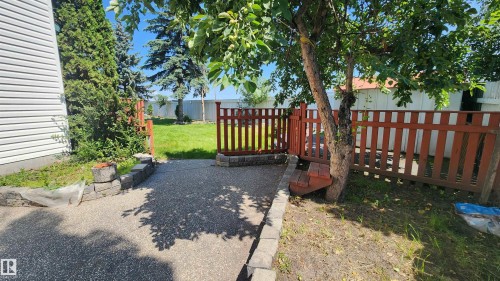 Expansive backyard area featuring a gravel patio, red wood picket fencing, and a mature tree providing natural shade - 2708 44A Avenue, Edmonton, AB 