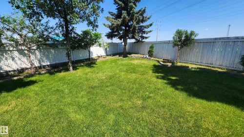 Expansive green lawn with mature trees and a perimeter privacy fence - 2708 44A Avenue, Edmonton, AB 