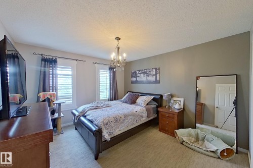 Bedroom featuring neutral wall colors, carpet flooring, and two windows with white louvered shutters - 14412 98 Street, Edmonton, AB - Indoor Photo Showing Bedroom