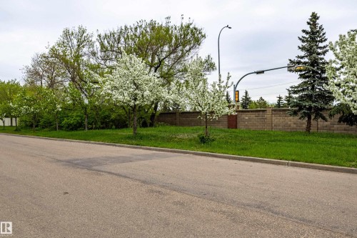 Mature landscaping featuring blooming trees and evergreen varieties - 14412 98 Street, Edmonton, AB - Outdoor