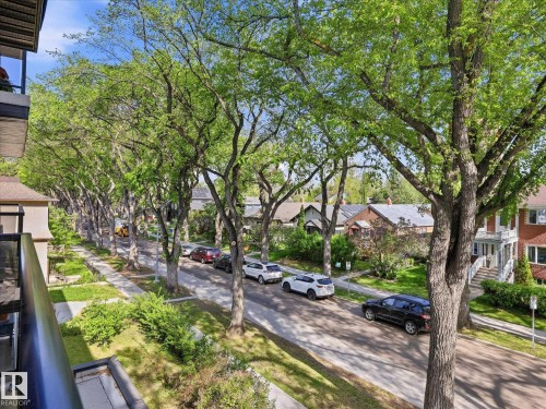 Tree-lined streetscape featuring mature foliage and residential architecture - 301 10003 87 Avenue, Edmonton, AB - Outdoor