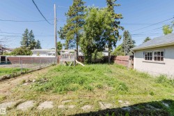 Spacious backyard featuring established trees, a chain-link fence, and a privacy fence - 