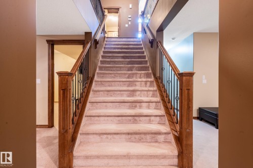 Carpeted staircase featuring wood newel posts and handrails with wrought iron balusters - 19 Newton Place, St. Albert, AB - Indoor Photo Showing Other Room