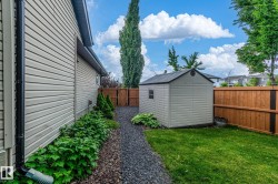 Yard - 