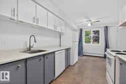 Kitchen featuring white upper cabinetry, gray lower cabinetry, a stainless steel sink with a high-arc faucet, and white appliances including a refrigerator, dishwasher, and range - 