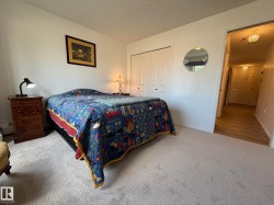 Neutral wall colors with textured carpeting - 