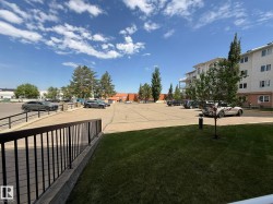 Expansive outdoor parking area featuring paved surfacing, mature trees, and a low-rise residential building in the background - 