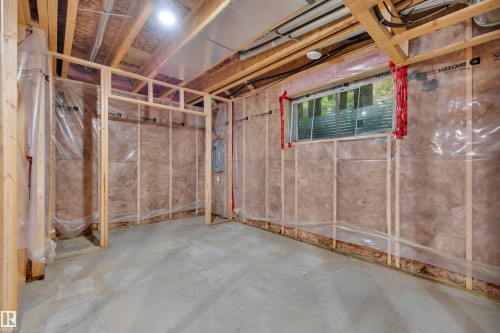 10919 96 Street Nw, Edmonton, AB - Indoor Photo Showing Basement