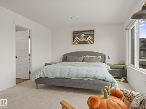 3648 6 Street Nw, Edmonton, AB - Indoor Photo Showing Bedroom
