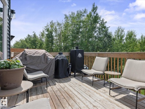 3648 6 Street Nw, Edmonton, AB - Outdoor With Deck Patio Veranda With Exterior