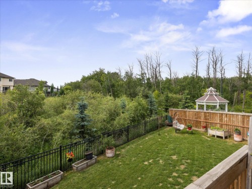 3648 6 Street Nw, Edmonton, AB - Outdoor With Backyard
