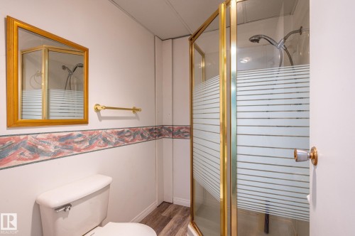 Shower enclosure with gold-finish frame and frosted glass panels - 11415 142 Avenue, Edmonton, AB 