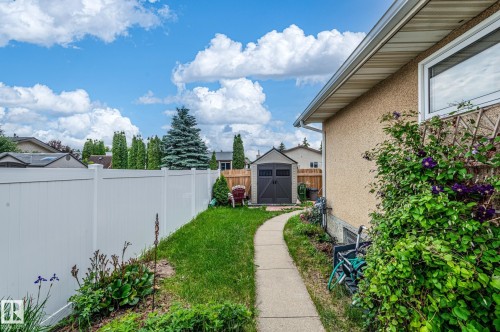 Private backyard featuring a white privacy fence, a concrete walkway, and a detached storage shed - 11415 142 Avenue, Edmonton, AB 