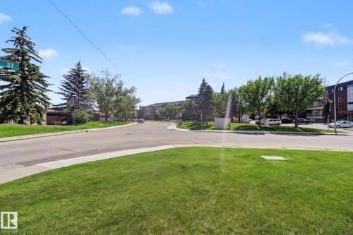 Expansive green space featuring mature trees and paved roadways - #6E 11608 28 Av Nw Nw, Edmonton, AB - Outdoor With View