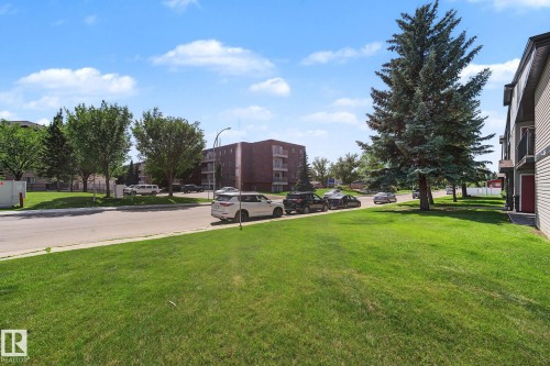 Expansive green lawn bordering a paved street - #6E 11608 28 Av Nw Nw, Edmonton, AB - Outdoor