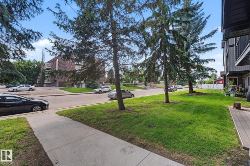 Expansive green space featuring established trees and a concrete sidewalk - #6E 11608 28 Av Nw Nw, Edmonton, AB - Outdoor