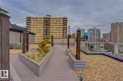 Roof Top - 