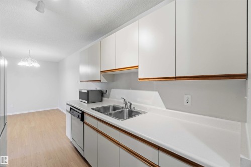 Kitchen - #304 4924 19 Av Nw, Edmonton, AB 