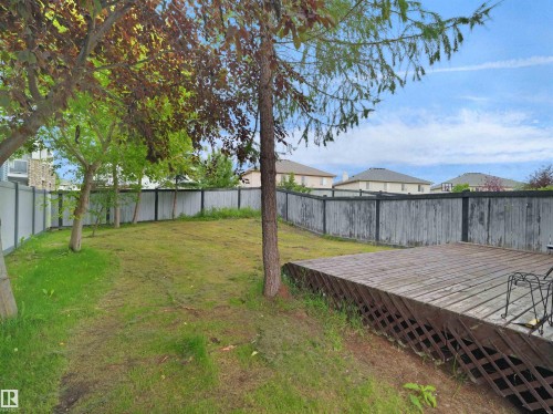 Expansive backyard featuring a wood deck, mature trees, and a combination of wood and composite fencing - 16106 131A Street, Edmonton, AB 