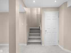 Carpeted staircase with white handrail and surrounding neutral-toned walls - 