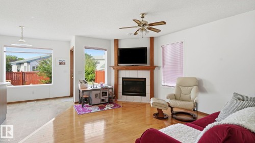 Living room - 1225 Kane Wynd, Edmonton, AB 