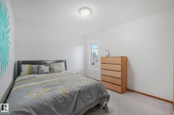 Soft carpeting, white painted walls, and a single window with grid pattern - 