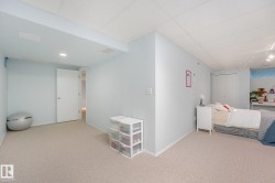 Recessed lighting, drop ceiling, wall-to-wall carpeting, and a white interior door - 