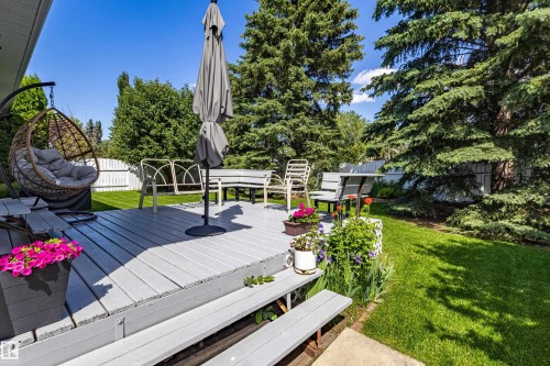 Expansive backyard featuring a grey-painted wood deck with multiple levels, a vibrant green lawn, mature evergreen trees, and a white picket fence - 171 Rhatigan Road, Edmonton, AB 