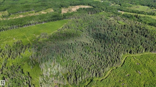 Expansive treed acreage featuring a mix of mature evergreen and deciduous trees - 222A Range Rd, Rural Athabasca County, AB 