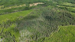 Expansive treed acreage featuring a mix of mature evergreen and deciduous trees - 