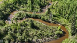 Winding river through dense woodlands, featuring varied tree species and natural terrain - 