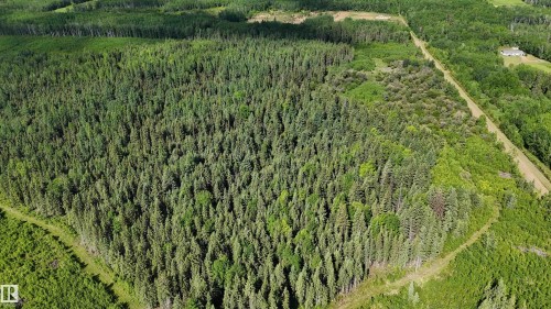 Expansive wooded acreage featuring a mix of mature evergreen and deciduous trees, a cleared pathway, and a distant residential structure - 222A Range Rd, Rural Athabasca County, AB 