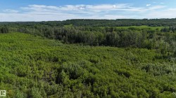 Expansive land parcel featuring dense mixed-growth forest and open green areas under a broad sky - 