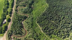 Meandering waterway with surrounding dense forest and expansive green areas - 