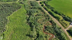 Aerial perspective showcasing a meandering river bordered by dense forest - 