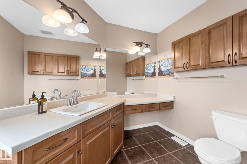 5519 209 Street Nw, Edmonton, AB - Indoor Photo Showing Bathroom
